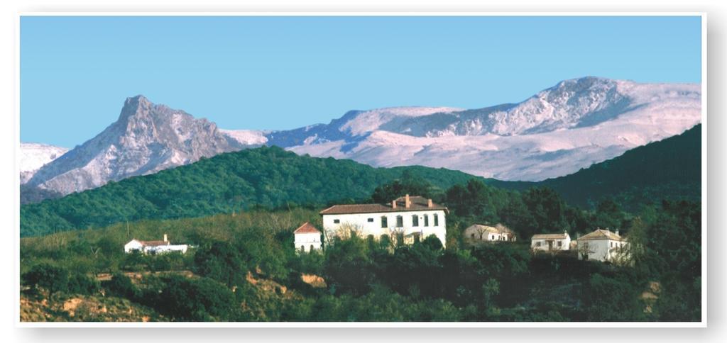 Cortijo Balzain Apartman La Zubia Kültér fotó